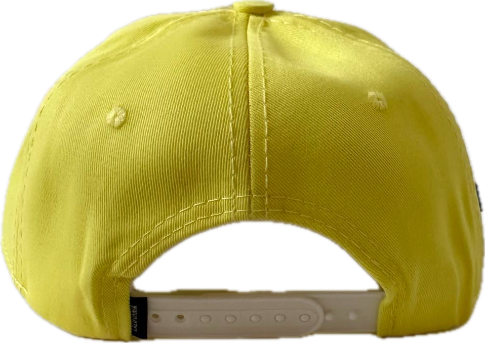 California gorras MX Dia de los muertos