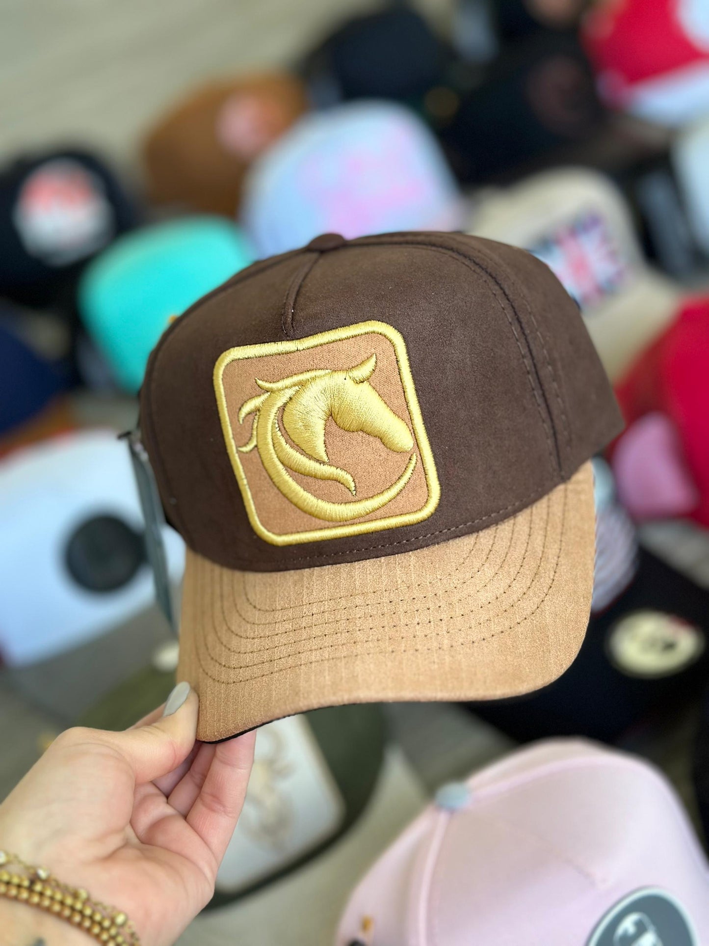 California caps Trojan Horse Gold