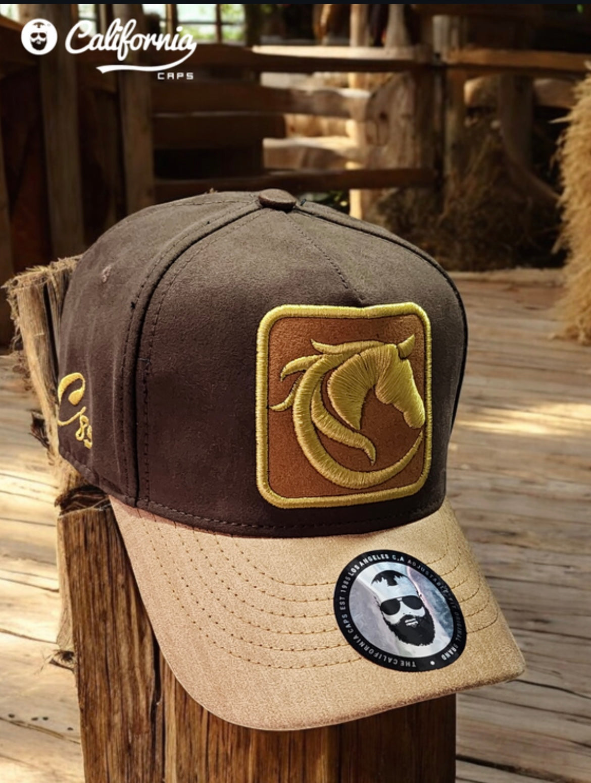 California caps Trojan Horse Gold